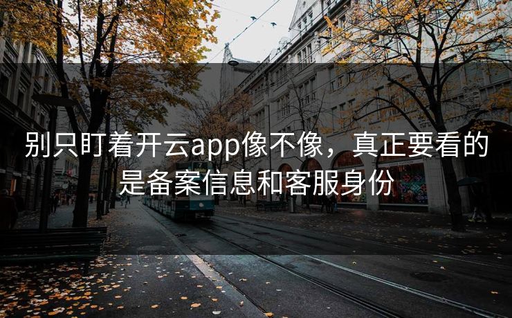 别只盯着开云app像不像，真正要看的是备案信息和客服身份