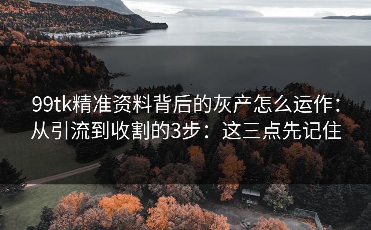 99tk精准资料背后的灰产怎么运作：从引流到收割的3步：这三点先记住