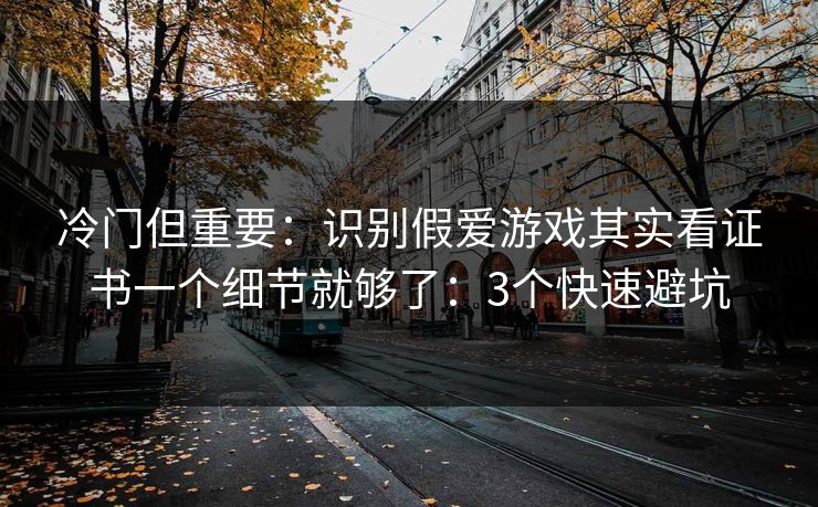 冷门但重要：识别假爱游戏其实看证书一个细节就够了：3个快速避坑