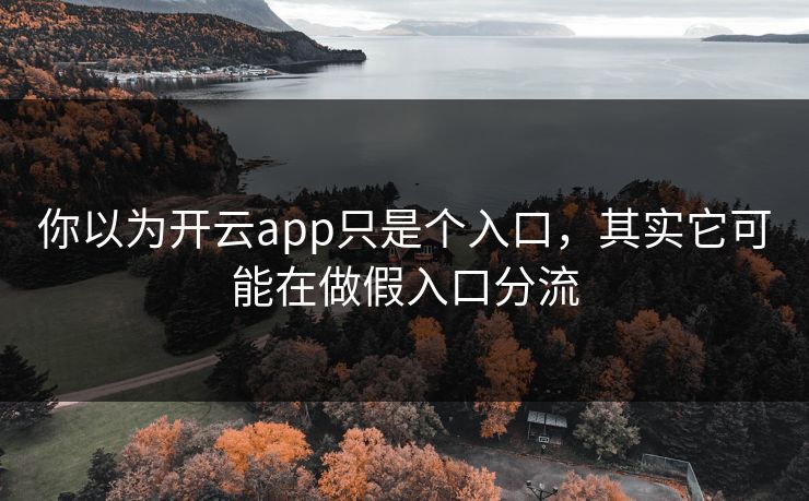 你以为开云app只是个入口，其实它可能在做假入口分流