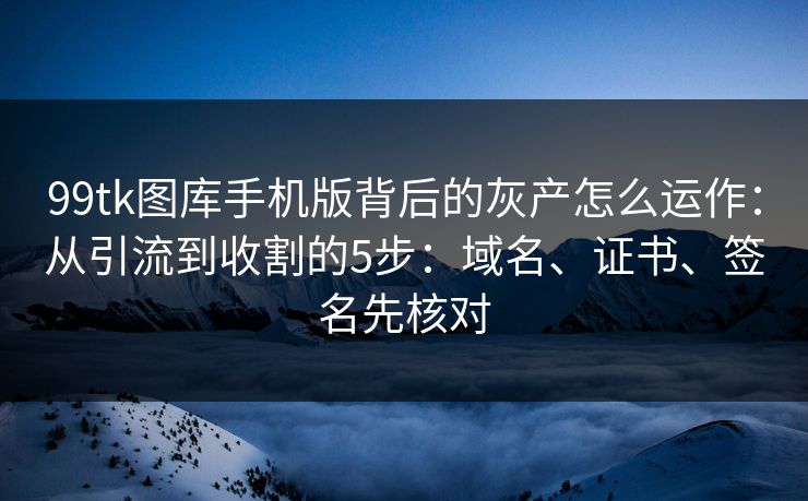 99tk图库手机版背后的灰产怎么运作：从引流到收割的5步：域名、证书、签名先核对