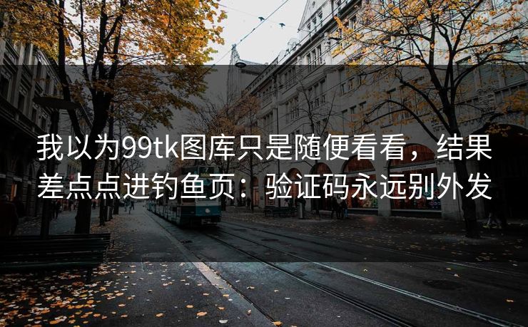 我以为99tk图库只是随便看看，结果差点点进钓鱼页：验证码永远别外发