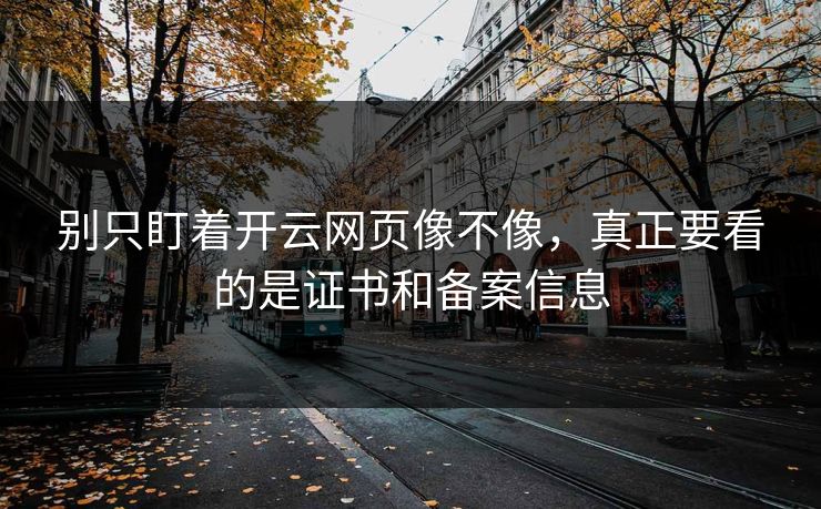 别只盯着开云网页像不像，真正要看的是证书和备案信息