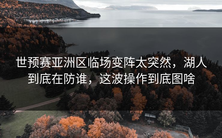 世预赛亚洲区临场变阵太突然，湖人到底在防谁，这波操作到底图啥