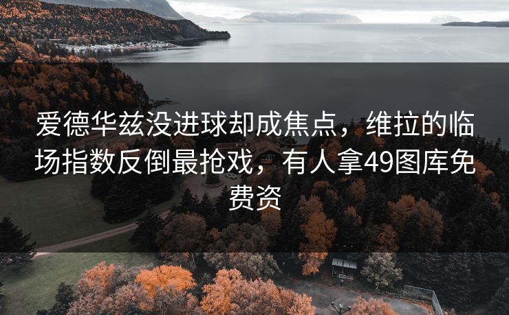 爱德华兹没进球却成焦点，维拉的临场指数反倒最抢戏，有人拿49图库免费资